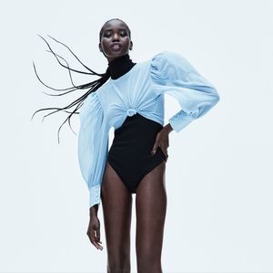 sheer mesh long sleeved baby blue Zara top